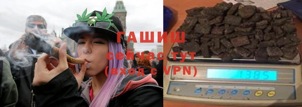 индика Абаза