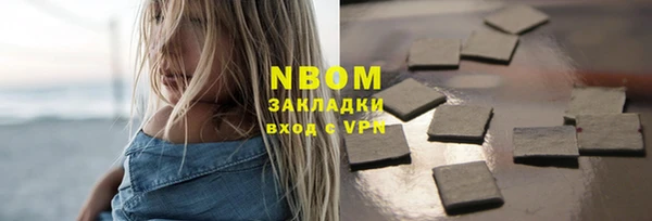 индика Абаза