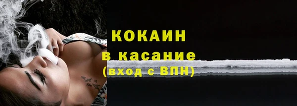 индика Абаза