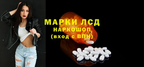 индика Абаза