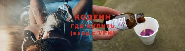 индика Абаза