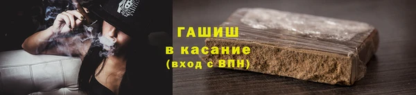 индика Абаза