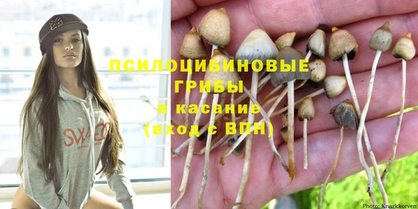 индика Абаза
