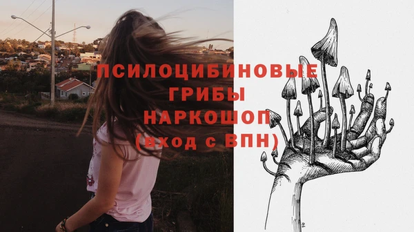 индика Абаза