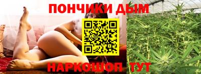 apvp Канаш