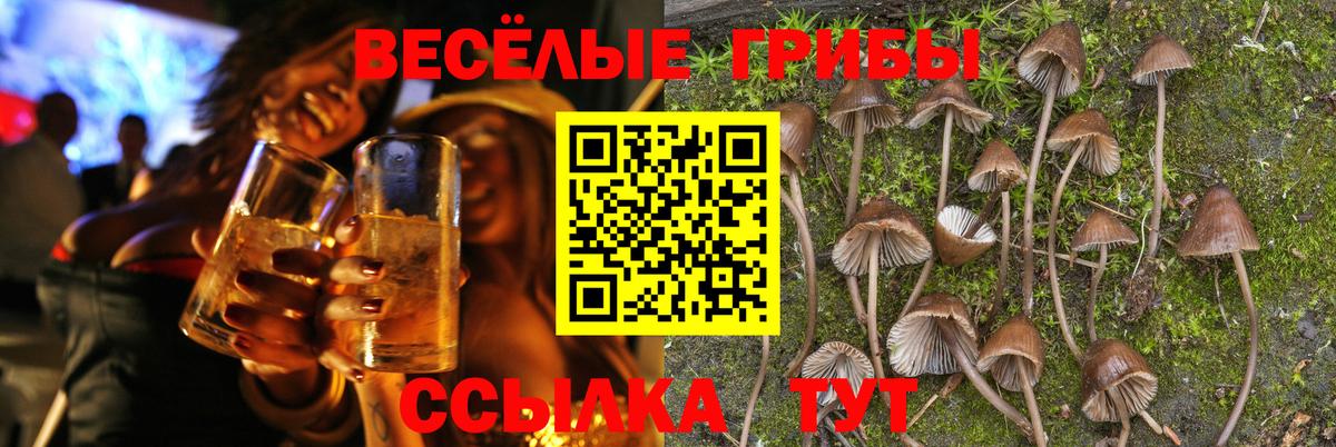 Псилоцибиновые грибы GOLDEN TEACHER Химки